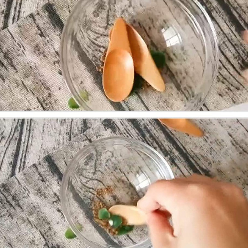 spoon5 Pieces Mini Wooden Spoo - đánh giá và giá Coffee Tea Etc