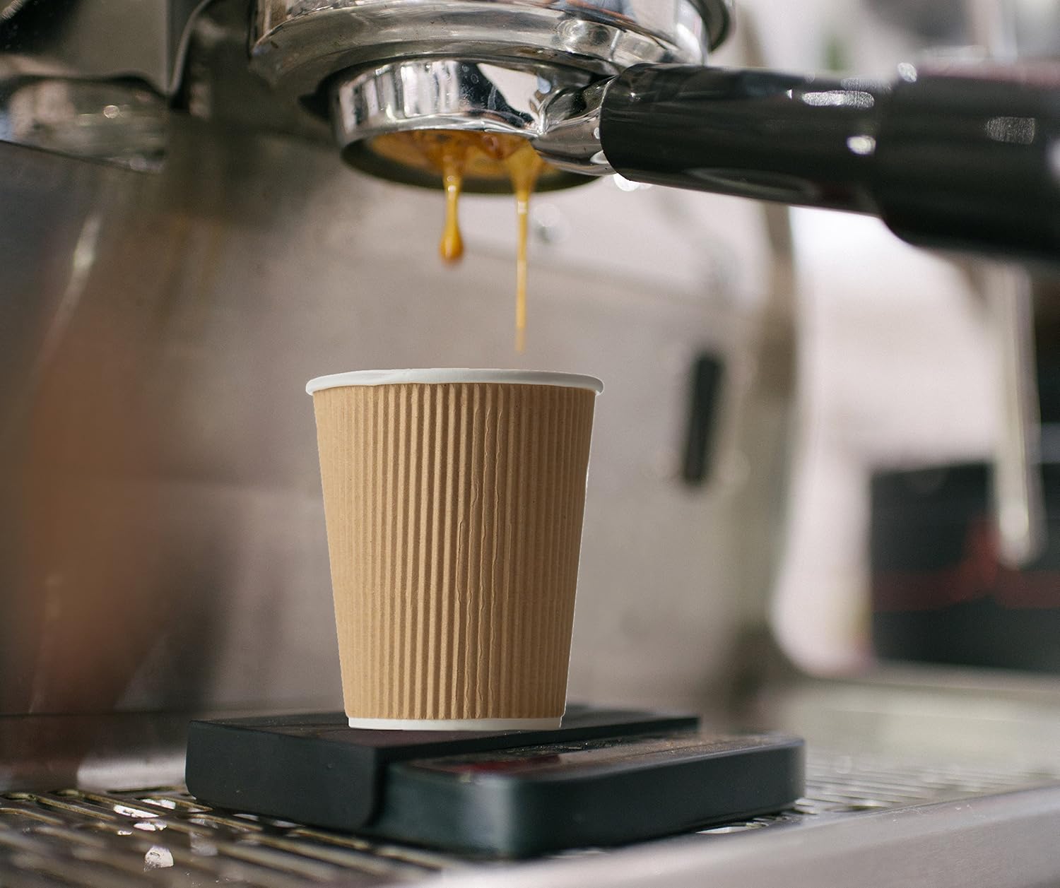 12 oz Ripple Insulated Coffee  - đánh giá và giá Coffee Tea Chocolate