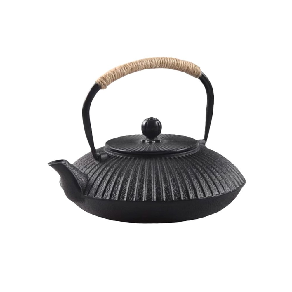 800ml Cast Iron Teapot Umbrell - đánh giá và giá Cast Iron Teapot