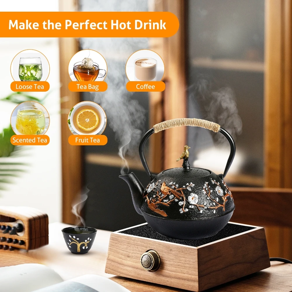 Cast Iron Teapot Set with Alco - đánh giá và giá Cast Iron Teapot